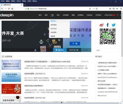 国产深度系统安装wine视频,轻松体验Windows软件