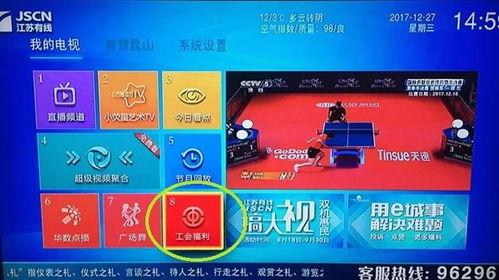 收费国产福利视频,探索独特视角下的文化盛宴