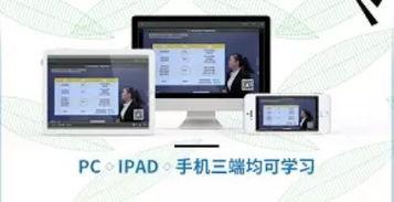 收费国产福利视频,探索独特视角下的文化盛宴