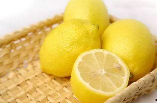 国产柠檬怎么养殖视频教程,国产柠檬养殖视频教程精华汇总