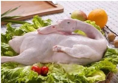 国产鸭肉梨测评视频下载,口感与营养的双重享受