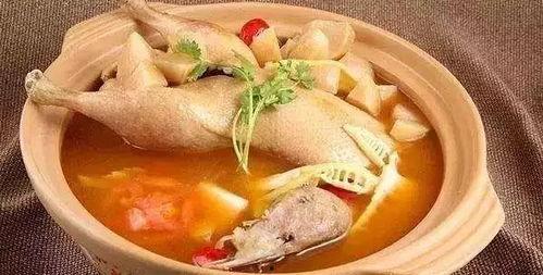 国产鸭肉梨测评视频下载,口感与营养的双重享受