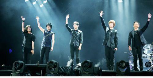 国产演唱会超强前奏视频,震撼开场！国产演唱会超强前奏视频惊艳亮相