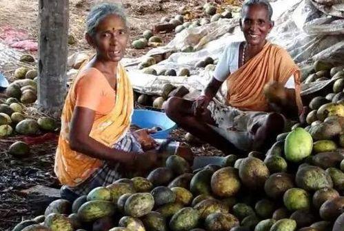 国产的芒果干制作视频