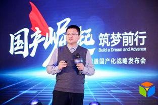 国产化视频会议厂家