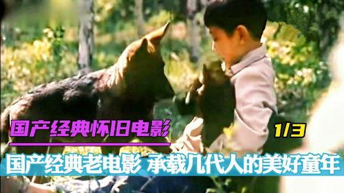 国产经典老影片短视频,重温国产经典老影片的温馨瞬间  第3张