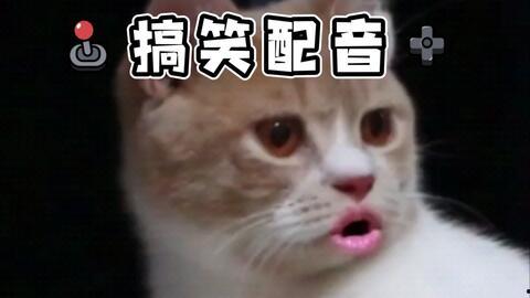 国产配音沙雕视频,笑料百出,欢乐无限 第3张 国产配音沙雕视频,笑料百出,欢乐无限 第3张