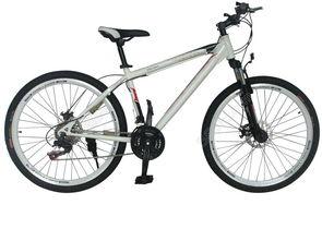 国产山地自行车测试视频,速度与激情的较量  第1张