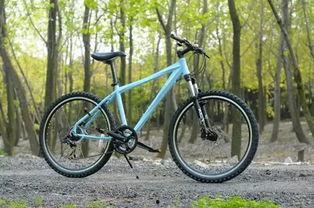 国产山地自行车测试视频,速度与激情的较量  第3张