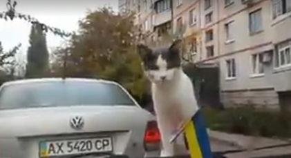 国产车雨刮器视频,创新科技,守护行车安全 第2张 国产车雨刮器视频,创新科技,守护行车安全 第2张