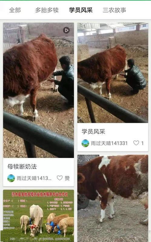 国产女人牛牛免费视频,揭秘网络直播的诱惑与风险 第3张 国产女人牛牛免费视频,揭秘网络直播的诱惑与风险 第3张