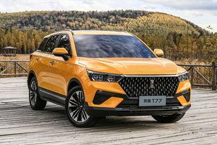 老外拆国产车的视频播放,老外拆解视频带你一探究竟