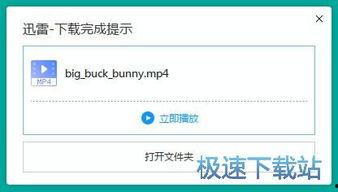国产迅雷视频网站在线看,在线观影新体验  第2张