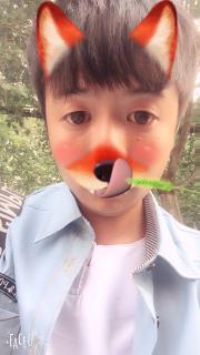 国产小花视频大全  第3张